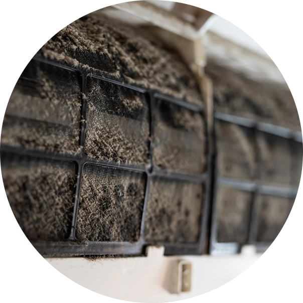 먼지 및 각종 오염물질