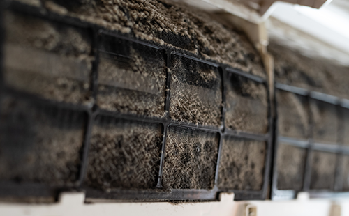 Before 내부 필터