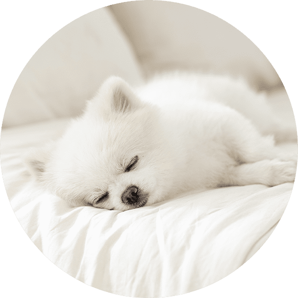 먼지 및 각종 오염물질