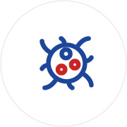 각종 유해 물질<br> 배출 및 제거