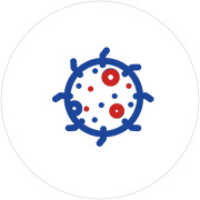 알레르기 질환 및<br> 각종 질병 예방